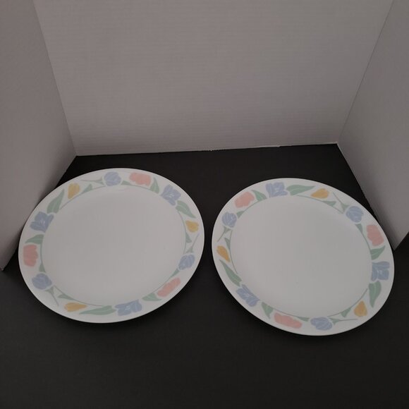 Corelle Other - 2 Vintage Corelle Friendship 10” Dinner Plates